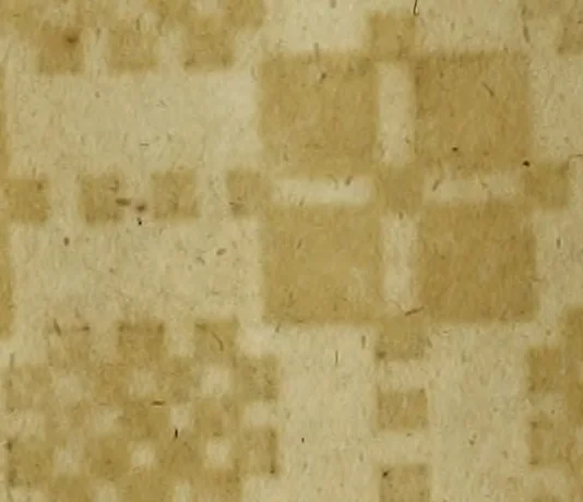An illustration from Neu hervorkommendes Weber Kunst und Bild Buch, 1736, leaf 353