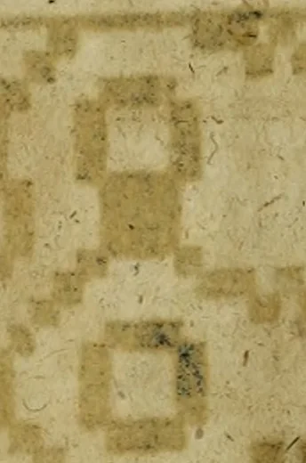 An illustration from Neu hervorkommendes Weber Kunst und Bild Buch, 1736, leaf 365