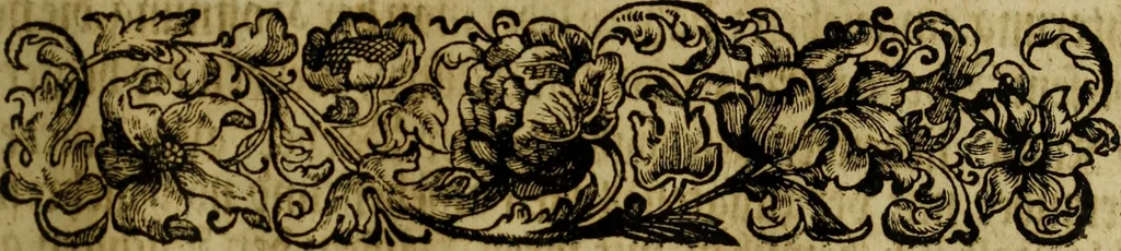 An illustration from Neu hervorkommendes Weber Kunst und Bild Buch, 1736, leaf 414