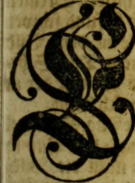 An illustration from Neu hervorkommendes Weber Kunst und Bild Buch, 1736, leaf 416