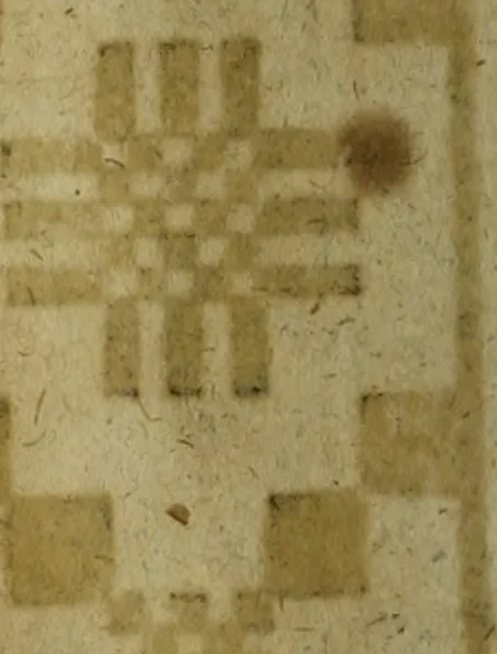 An illustration from Neu hervorkommendes Weber Kunst und Bild Buch, 1736, leaf 459