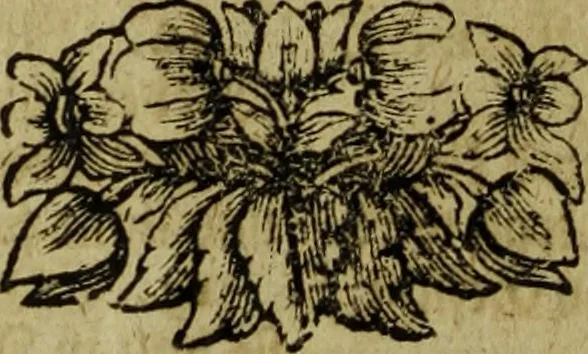 An illustration from Neu hervorkommendes Weber Kunst und Bild Buch, 1736, leaf 51