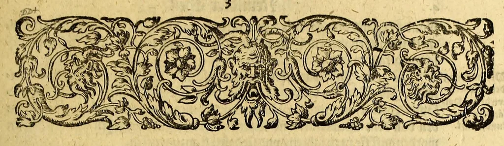 An illustration from Neundter Theil Orientalischer Indien, darinnen begrieffen ein kurtze Beschreibung einer Reyse, so von den Holländern vn[d] Seeländern, in die Orientalischen Indien, mit neun grossen vnd vier kleinen Schiffen, vnter der Admiralschafft Peter Wilhelm Verhuffen, in Jahren 1607. 1608. vnd 1609. verricht worden, neben Vermeldung, was ihnen fürnemlich auff solcher Reyse begegnet vnnd zu Handen gangen., 1612, leaf 95