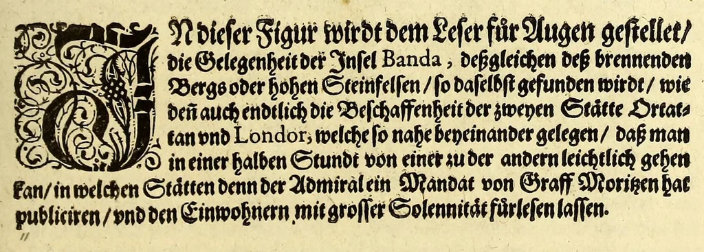 An illustration from Neundter Theil Orientalischer Indien, darinnen begrieffen Ein kurtze Beschreibung einer Reyse, so von den Holländern vn[d] Seeländern, in die Orientalischen Indien, mit neun grossen vnd vier kleinen Schiffen, vnter der Admiralschafft Peter Wilhelm Verhuffen, in Jahren 1607. 1608. vnd 1609. verricht worden, neben Vermeldung, was ihnen fürnemlich auff solcher Reyse begegnet vnnd zu Handen gangen., 1612, leaf 93