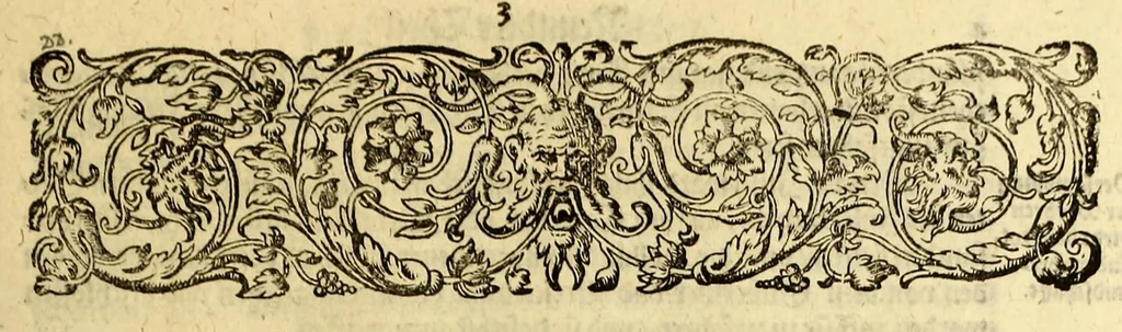 An illustration from Neundter Theil Orientalischer Indien, darinnen begrieffen Ein kurtze Beschreibung einer Reyse, so von den Holländern vn[d] Seeländern, in die Orientalischen Indien, mit neun grossen vnd vier kleinen Schiffen, vnter der Admiralschafft Peter Wilhelm Verhuffen, in Jahren 1607. 1608. vnd 1609. verricht worden, neben Vermeldung, was ihnen fürnemlich auff solcher Reyse begegnet vnnd zu Handen gangen., 1612, leaf 99