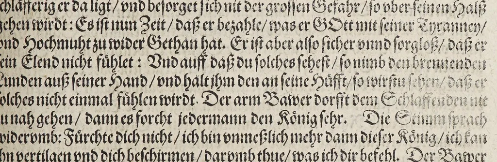 An illustration from Neundter vnd letzter Theil Americae, : darin[n] gehandelt wird, von Gelegenheit der Elementen, Natur, Art vnd eigenschafft der Newen Welt: item von derselben Völcker, abergläubischen Götzendienst, Policey vnd Regiments Ordnung: beneben einem seinen register oder Catalogo, aller Könige, von anfang ihrer Königreich an, biss auff den letzten König der Mexicaner, Motec̦uma genannt, den andern dess Nahmens, sampt eygentlicher Beschreibung der Wahl, Krönung, vnd Todt derselben, vnd letzlich was diese Indianer für Krieg wider einander geführet haben. Alles auffs trewlichste aus Niederländischer Beschreibung Iohan. Hugen von Lintschotten, in vnser Hochteutsche Sprache versetzet, durch Iohannem Humberger Wetterauium. Ferner auch von der Reise der fünff Schiffe, so im Junto dess 1598. Jahrs, in Hollandt aussgefahren, der meynung, durch das Fretum Magelanum, zu den Moluckischen Inseln zu Schiffen, wie sie nemlich von einander kommen vnd zerstrewetworden, also dass nur allein der Hauptmann Sebald de Weert, sampt noch einem Schiff beysammen blieben, vnd auff die vier Monat lang, mit grosser gefahr in dem Freto sich auffgehalten, welcher auch endlich, als er vber die 2. Jahr auff solcher Reise elendiglich zugebracht, mit einem Schiffe, Anno 1600. vnverrichter Sache wider anheim kommen., 1601, leaf 331
