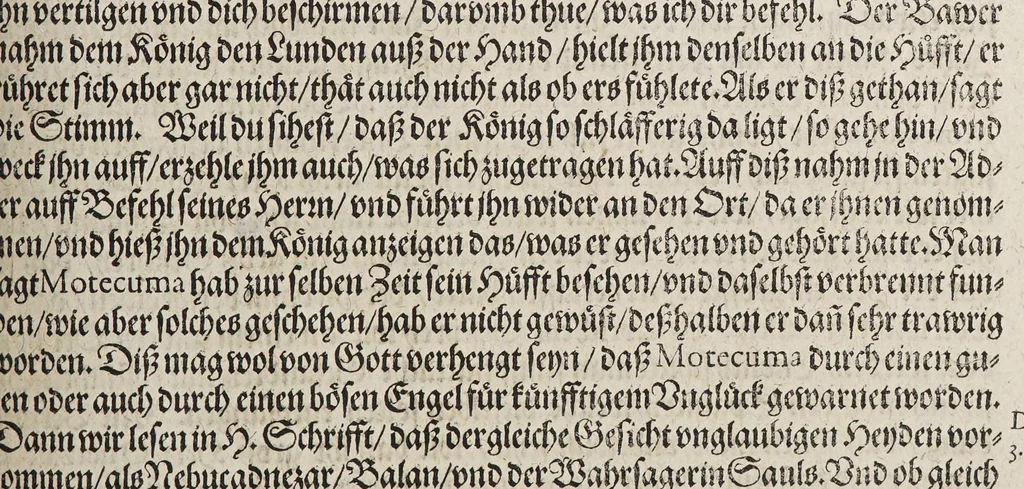 An illustration from Neundter vnd letzter Theil Americae, : darin[n] gehandelt wird, von Gelegenheit der Elementen, Natur, Art vnd eigenschafft der Newen Welt: item von derselben Völcker, abergläubischen Götzendienst, Policey vnd Regiments Ordnung: beneben einem seinen register oder Catalogo, aller Könige, von anfang ihrer Königreich an, biss auff den letzten König der Mexicaner, Motec̦uma genannt, den andern dess Nahmens, sampt eygentlicher Beschreibung der Wahl, Krönung, vnd Todt derselben, vnd letzlich was diese Indianer für Krieg wider einander geführet haben. Alles auffs trewlichste aus Niederländischer Beschreibung Iohan. Hugen von Lintschotten, in vnser Hochteutsche Sprache versetzet, durch Iohannem Humberger Wetterauium. Ferner auch von der Reise der fünff Schiffe, so im Junto dess 1598. Jahrs, in Hollandt aussgefahren, der meynung, durch das Fretum Magelanum, zu den Moluckischen Inseln zu Schiffen, wie sie nemlich von einander kommen vnd zerstrewetworden, also dass nur allein der Hauptmann Sebald de Weert, sampt noch einem Schiff beysammen blieben, vnd auff die vier Monat lang, mit grosser gefahr in dem Freto sich auffgehalten, welcher auch endlich, als er vber die 2. Jahr auff solcher Reise elendiglich zugebracht, mit einem Schiffe, Anno 1600. vnverrichter Sache wider anheim kommen., 1601, leaf 331