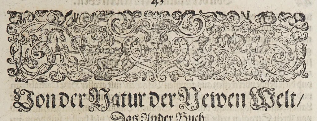 An illustration from Neundter vnd letzter Theil Americae, : darin[n] gehandelt wird, von Gelegenheit der Elementen, Natur, Art vnd eigenschafft der Newen Welt: item von derselben Völcker, abergläubischen Götzendienst, Policey vnd Regiments Ordnung: beneben einem seinen register oder Catalogo, aller Könige, von anfang ihrer Königreich an, biss auff den letzten König der Mexicaner, Motec̦uma genannt, den andern dess Nahmens, sampt eygentlicher Beschreibung der Wahl, Krönung, vnd Todt derselben, vnd letzlich was diese Indianer für Krieg wider einander geführet haben. Alles auffs trewlichste aus Niederländischer Beschreibung Iohan. Hugen von Lintschotten, in vnser Hochteutsche Sprache versetzet, durch Iohannem Humberger Wetterauium. Ferner auch von der Reise der fünff Schiffe, so im Junto dess 1598. Jahrs, in Hollandt aussgefahren, der meynung, durch das Fretum Magelanum, zu den Moluckischen Inseln zu Schiffen, wie sie nemlich von einander kommen vnd zerstrewetworden, also dass nur allein der Hauptmann Sebald de Weert, sampt noch einem Schiff beysammen blieben, vnd auff die vier Monat lang, mit grosser gefahr in dem Freto sich auffgehalten, welcher auch endlich, als er vber die 2. Jahr auff solcher Reise elendiglich zugebracht, mit einem Schiffe, Anno 1600. vnverrichter Sache wider anheim kommen., 1601, leaf 57