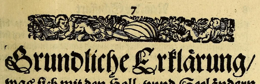 An illustration from Neundte Schiffart, das ist: Gründtliche Erklärung, was sich mit den Holl- vnnd Seeländern in Ost-Indien Anno 1604. vnd 1605. vnter dem Admiral Steffan von der Hagen zugetragen, : vnd wie sie endlich in jüngst abgeloffenem Aprili mit zwey Schiffen in Hollandt ankommen, 1606, leaf 15