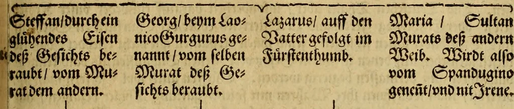 An illustration from Neuwe Chronica türckischer Nation von Türcken selbs beschrieben: volgendts gemehrt vnnd in vier Bücher abgetheilt. Das erst, Gitabi Teuarichi, Chronic oder Zeitbuch der Fürsten osmanischen stammens, von ihrem Ursprung .. biss auff den Sultan Suleiman Chan vnd das 1550. Jar Christi: welches... Herr Jeronymus Beck von Leopoldstorff [et]c. im nechst folgenden 1551. Jar von Constantinopol mit sich bracht. Das ander, von türckischen Geschichten, die nach dem 1550. Jar Christi biss auffs 1590. sich zugetragen. Das dritt, Pandectes türckischer Histori, das ist, vollkomner Bericht allerley türckischer Sachen vnd Erklärung derselben. Das viert, Etliche particular Beschreibungen mercklicher vnd zur türckischen Histori gehörigen Geschicht, 1590, leaf 224