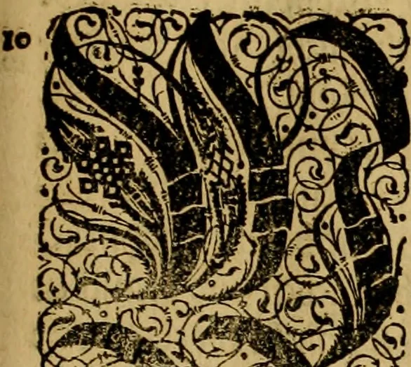 An illustration from Neuwe Chronica türckischer Nation von Türcken selbs beschrieben: volgendts gemehrt vnnd in vier Bücher abgetheilt. Das erst, Gitabi Teuarichi, Chronic oder Zeitbuch der Fürsten osmanischen stammens, von ihrem Ursprung .. biss auff den Sultan Suleiman Chan vnd das 1550. Jar Christi: welches... Herr Jeronymus Beck von Leopoldstorff [et]c. im nechst folgenden 1551. Jar von Constantinopol mit sich bracht. Das ander, von türckischen Geschichten, die nach dem 1550. Jar Christi biss auffs 1590. sich zugetragen. Das dritt, Pandectes türckischer Histori, das ist, vollkomner Bericht allerley türckischer Sachen vnd Erklärung derselben. Das viert, Etliche particular Beschreibungen mercklicher vnd zur türckischen Histori gehörigen Geschicht, 1590, leaf 448