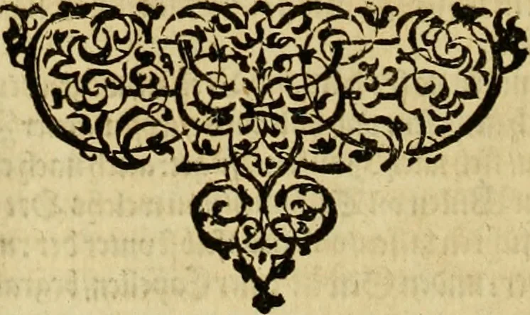 An illustration from Neuwer musulmanischer Histori türckischer Nation von jhrem Herkommen, Geschichten vnd Thaten. Drey Bücher die ersten vnter dreyssigen: dermassen ausz jhren selbs eigenen Historien gezogen vnd beschrieben dass dergleichen von jhren Sachen vnnd Geschichten bisshero nichts an Tag kommen, 1590, leaf 117