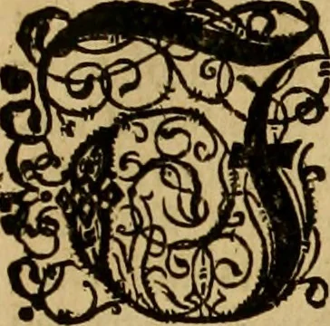 An illustration from Neuwer musulmanischer Histori türckischer Nation von jhrem Herkommen, Geschichten vnd Thaten. Drey Bücher die ersten vnter dreyssigen: dermassen ausz jhren selbs eigenen Historien gezogen vnd beschrieben dass dergleichen von jhren Sachen vnnd Geschichten bisshero nichts an Tag kommen, 1590, leaf 14