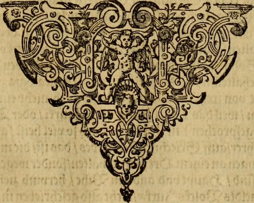 An illustration from Neuwer musulmanischer Histori türckischer Nation von jhrem Herkommen, Geschichten vnd Thaten. Drey Bücher die ersten vnter dreyssigen: dermassen ausz jhren selbs eigenen Historien gezogen vnd beschrieben dass dergleichen von jhren Sachen vnnd Geschichten bisshero nichts an Tag kommen, 1590, leaf 58