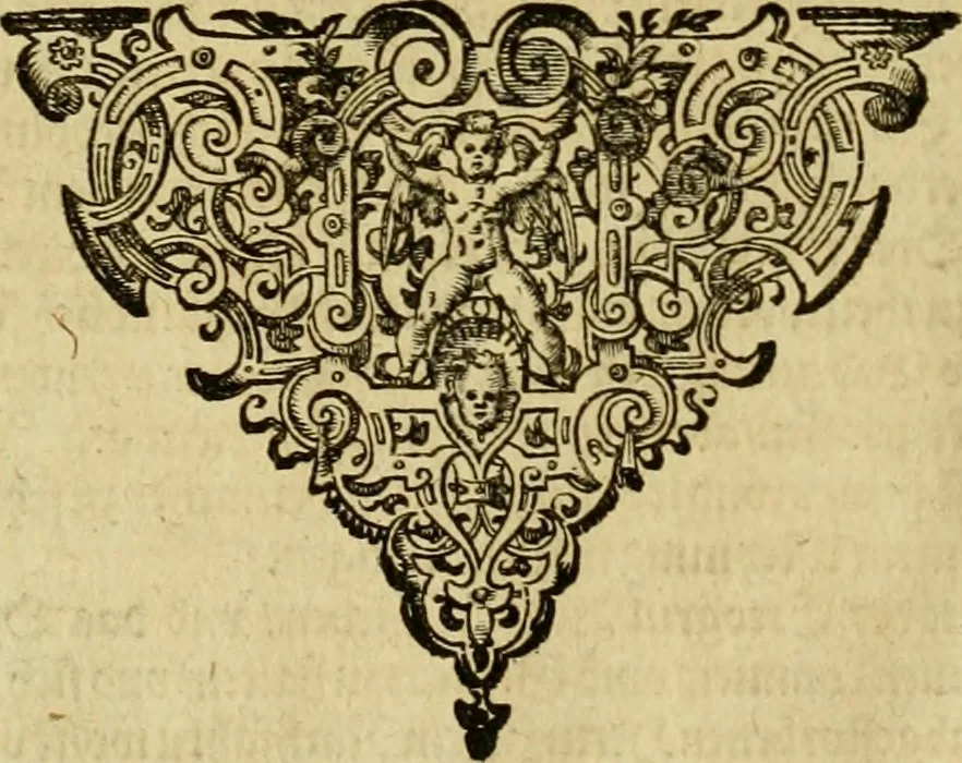 An illustration from Neuwer musulmanischer Histori türckischer Nation von jhrem Herkommen, Geschichten vnd Thaten. Drey Bücher die ersten vnter dreyssigen: dermassen ausz jhren selbs eigenen Historien gezogen vnd beschrieben dass dergleichen von jhren Sachen vnnd Geschichten bisshero nichts an Tag kommen, 1590, leaf 75