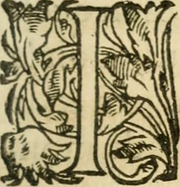 An illustration from Nevf livres de la dignité et de l'accroissement des sciences, 1632, leaf 146