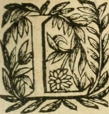 An illustration from Nevf livres de la dignité et de l'accroissement des sciences, 1632, leaf 150