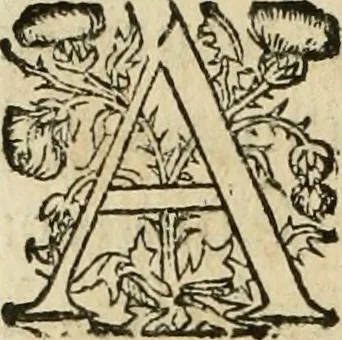 An illustration from Nevf livres de la dignité et de l'accroissement des sciences, 1632, leaf 223
