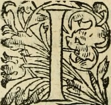 An illustration from Nevf livres de la dignité et de l'accroissement des sciences, 1632, leaf 347