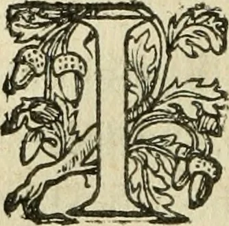 An illustration from Nevf livres de la dignité et de l'accroissement des sciences, 1632, leaf 385