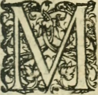An illustration from Nevf livres de la dignité et de l'accroissement des sciences, 1632, leaf 530