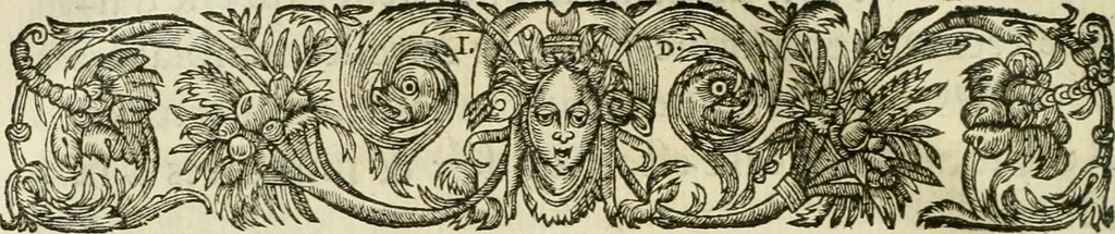 An illustration from Nevf livres de la dignité et de l'accroissement des sciences, 1632, leaf 735