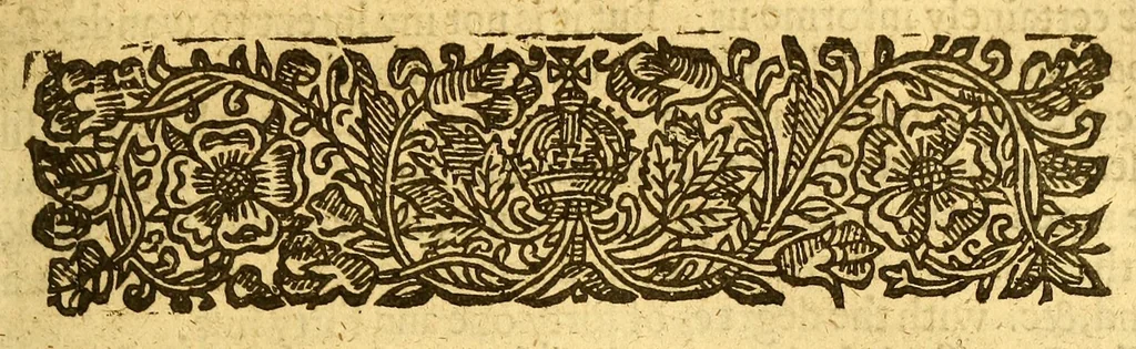 An illustration from Nevv Englands prospect. : A true, lively, and experimentall description of that part of America, commonly called Nevv England: discovering the state of that countrie, both as it stands to our new-come English planters; and to the old native inhabitants. Laying downe that which may both enrich the knowledge of the mind-travelling reader, or benefit the future voyager., 1635, leaf 17