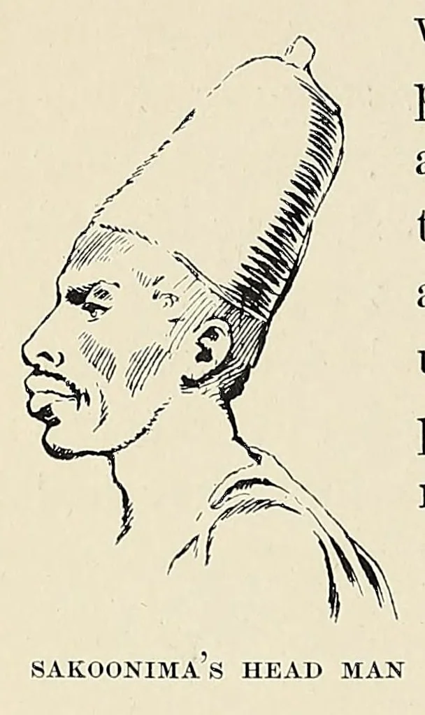 An illustration from The new Africa : a journey up the Chobe and down the Okovanga rivers : a record of exploration and sport, 1897, leaf 196