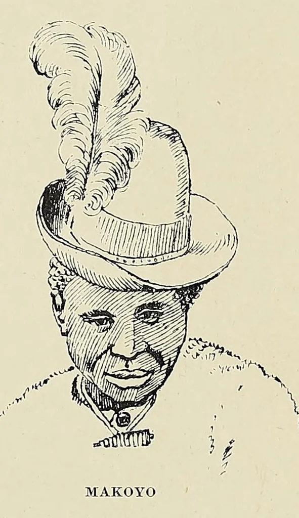 An illustration from The new Africa : a journey up the Chobe and down the Okovanga rivers : a record of exploration and sport, 1897, leaf 233