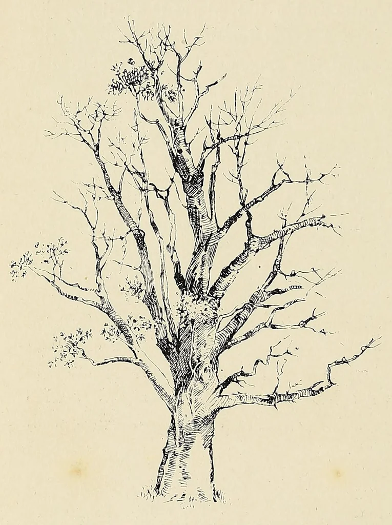 An illustration from The new Africa : a journey up the Chobe and down the Okovanga rivers : a record of exploration and sport, 1897, leaf 60