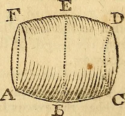An illustration from The new American practical navigator : being an epitome of navigation, containing all the tables necessary ..., 1802, leaf 232