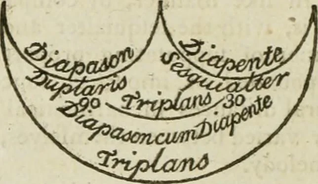 An illustration from A new and complete illustration of the celestial science of astrology : or, The art of foretelling future events and contingencies, by the aspects, positions, and influences of the heavenly bodies : founded on natural philosophy, scripture, reason, and the mathematics ... in four parts ..., 1817, leaf 401