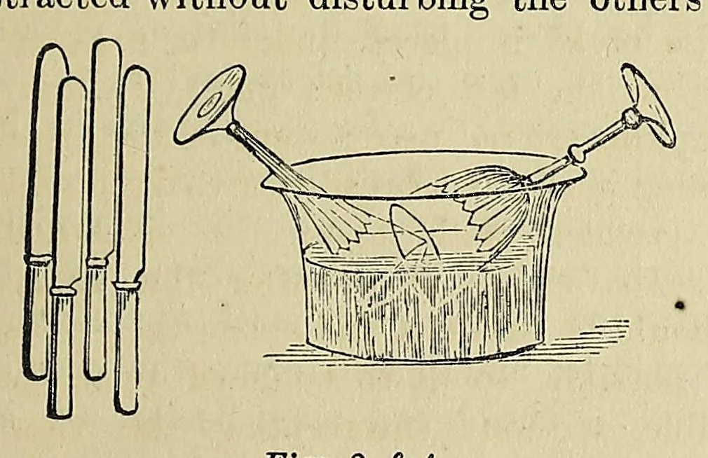 An illustration from The new cyclopædia of domestic economy, and practical housekeeper. Adapted to all classes of society and comprising subjects connected with the interests of every family, and five thousand practical receipts and maxims. From the best English, French, German, and American sources, 1872, leaf 109