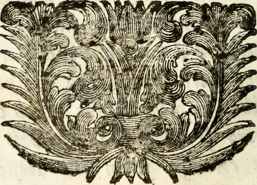 An illustration from A new dictionary of heraldry ... : and a concise account of the most noted orders of knighthood that are or have been, and of honours and dignities ecclesiastical, civil, or military .., 1725, leaf 19