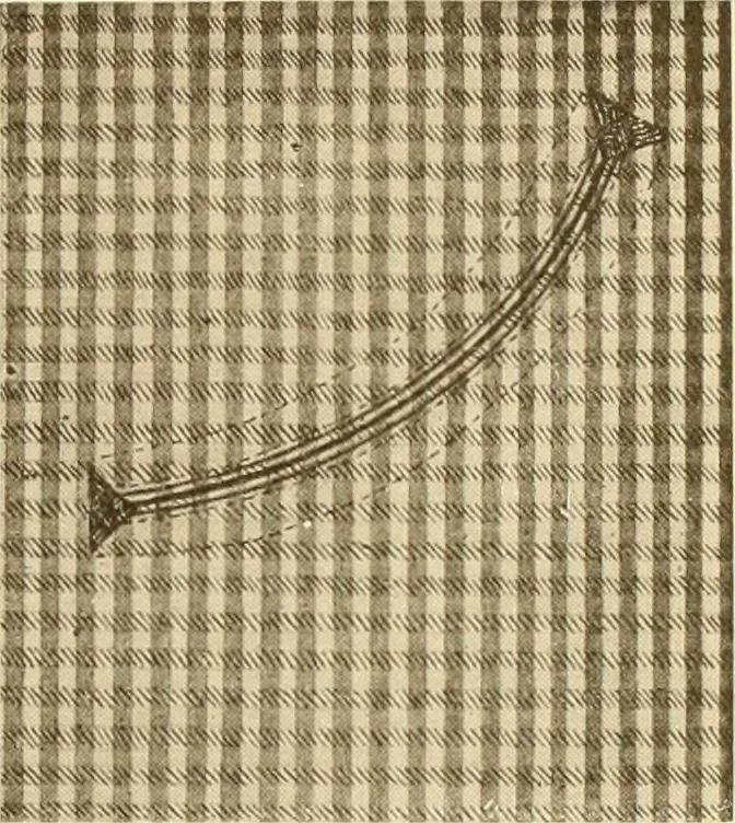 An illustration from The new dressmaker; with complete and fully illustrated instructions on every point connected with sewing, dressmaking and tailoring, from the actual stitches to the cutting, making, altering, mending, and cleaning of clothes for ladies, misses, girls, children, infants, men and boys, 1921, leaf 108