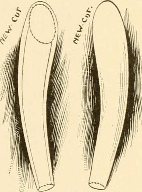 An illustration from The new dressmaker; with complete and fully illustrated instructions on every point connected with sewing, dressmaking and tailoring, from the actual stitches to the cutting, making, altering, mending, and cleaning of clothes for ladies, misses, girls, children, infants, men and boys, 1921, leaf 12