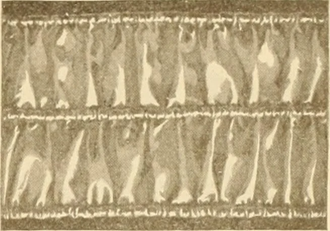 An illustration from The new dressmaker; with complete and fully illustrated instructions on every point connected with sewing, dressmaking and tailoring, from the actual stitches to the cutting, making, altering, mending, and cleaning of clothes for ladies, misses, girls, children, infants, men and boys, 1921, leaf 144