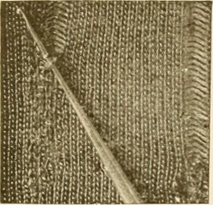 An illustration from The new dressmaker; with complete and fully illustrated instructions on every point connected with sewing, dressmaking and tailoring, from the actual stitches to the cutting, making, altering, mending, and cleaning of clothes for ladies, misses, girls, children, infants, men and boys, 1921, leaf 150