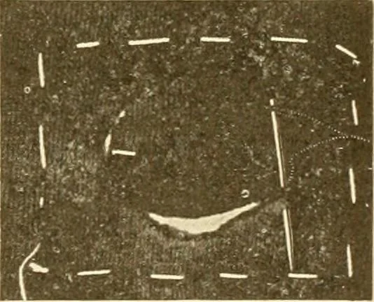 An illustration from The new dressmaker; with complete and fully illustrated instructions on every point connected with sewing, dressmaking and tailoring, from the actual stitches to the cutting, making, altering, mending, and cleaning of clothes for ladies, misses, girls, children, infants, men and boys, 1921, leaf 150