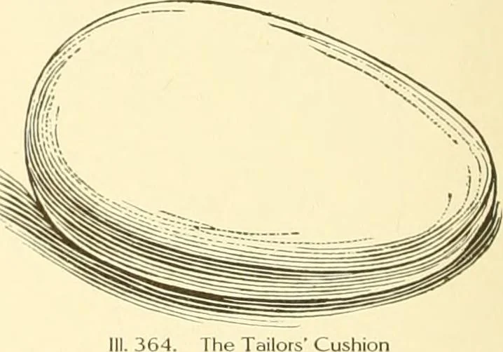 An illustration from The new dressmaker; with complete and fully illustrated instructions on every point connected with sewing, dressmaking and tailoring, from the actual stitches to the cutting, making, altering, mending, and cleaning of clothes for ladies, misses, girls, children, infants, men and boys, 1921, leaf 157