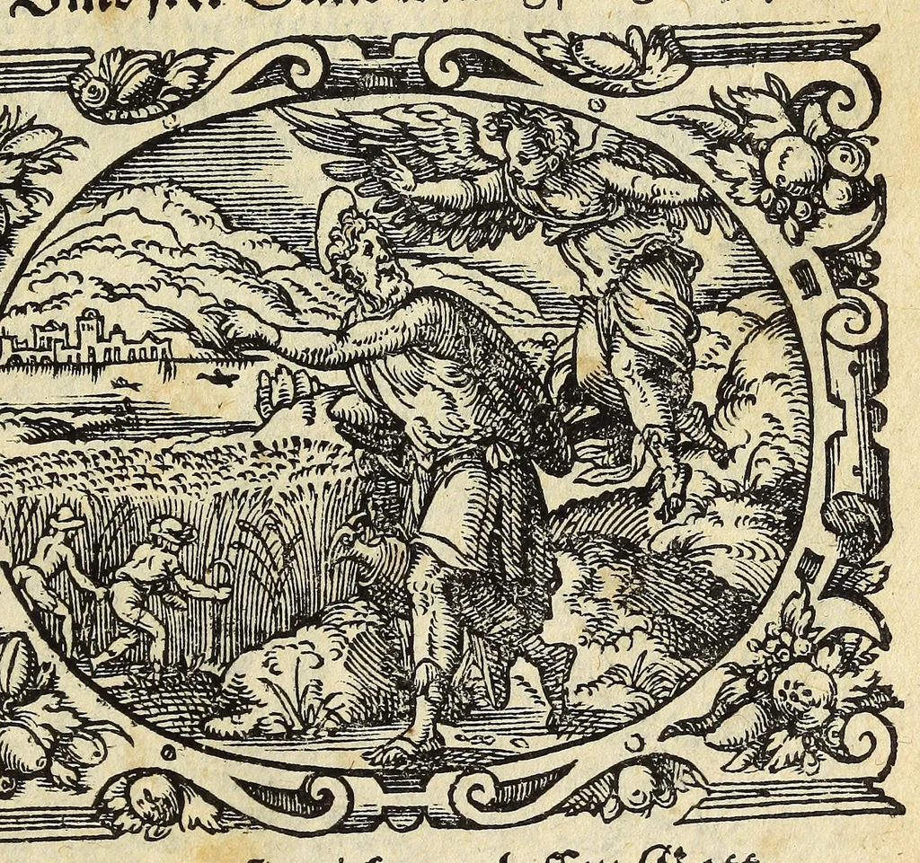 An illustration from Newe Biblische Figuren, 1579, leaf 325