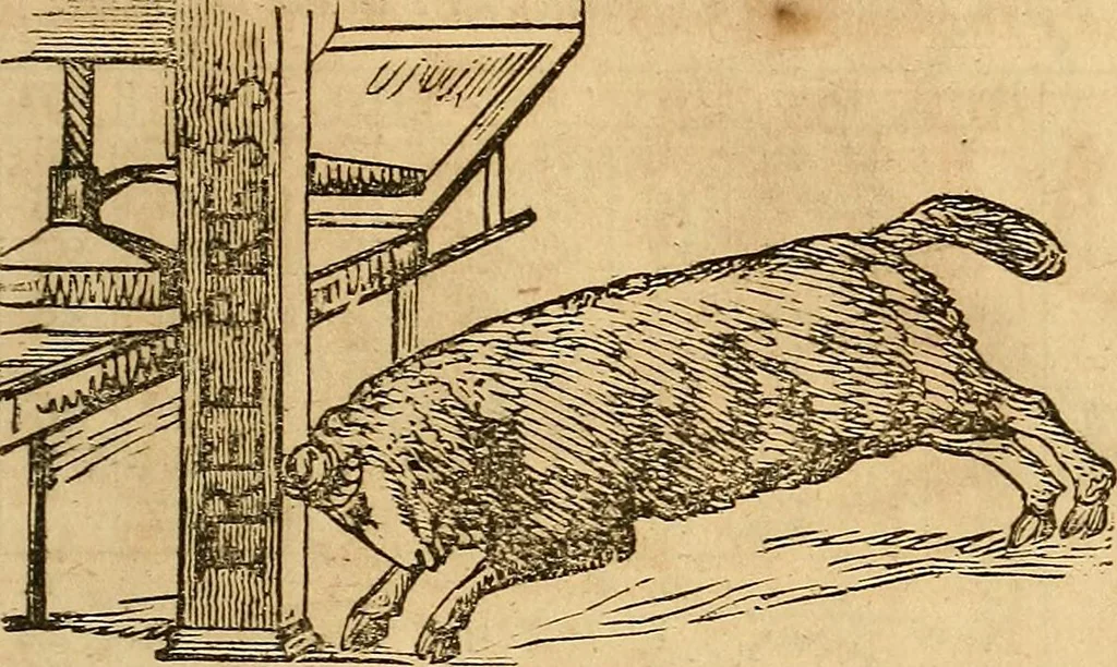 An illustration from New England anti-Masonic almanac for the year of Our Lord 1832, 1831, leaf 66