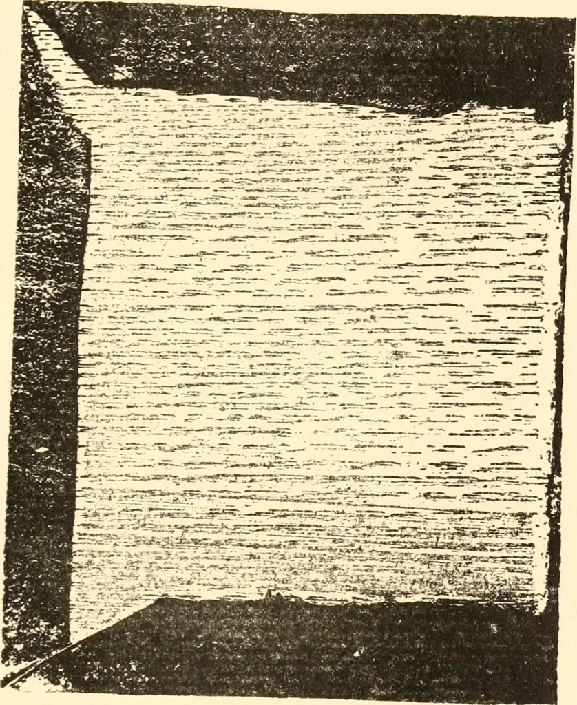 An illustration from The New-England primer; a history of its origin and development; with a reprint of the unique copy of the earliest known edition and many facsimile illustrations and reproductions, 1897, leaf 186