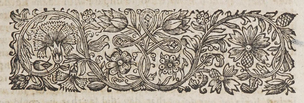 An illustration from New-England's ensigne: : it being the account of cruelty, the professors pride, and the articles of their faith; signified in characters written in blood, wickedly begun, barbarously continued, and inhumanly finished (so far as they have gone) by the present power of darkness possest in the priests and rulers in New-England, with the Dutch also inhabiting the same land; in a bloody and cruel birth, which the husband to the whore of Babylon, hath brought forth, by ravishing and torturing the seed of the Virgin of Israel. Happy are they who are blest out of the bands of hypocrites, by whom my saviour suffered. As it is said in David, behold, and see, our hands, our sides, and our ears, if we be not the people Chrst Iesus suffers in. This being an account of the sufferings sustained by us in New-England, (with the Dutch) the most part of it in these two last yeers, 1657, 1658. With a letter to Iohn Indicot, and Iohn Norton, governor, and chief priest of Boston, and another to the town of Boston. Also, the several late conditions of a friend upon Road-Iland, before, in, and after distraction; with some quaeries unto all sorts of people, who want that which we have, &c., 1659, leaf 29