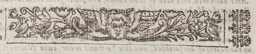 An illustration from New Englands first fruits : in respect, first of the conversion of some, conviction of divers, preparation of sundry of the Indians. 2. Of the progresse of learning, in the colledge at Cambridge in Massacusets [sic] Bay. With divers other speciall matters concerning that countrey. Published by the instant request of sundry friends, who desire to be satisfied in these points by many New-England men who are here present, and were eye or eare-witnesses of the same, 1643, leaf 26