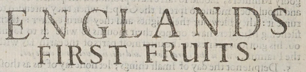 An illustration from New Englands first fruits : in respect, first of the conversion of some, conviction of divers, preparation of sundry of the Indians. 2. Of the progresse of learning, in the colledge at Cambridge in Massacusets [sic] Bay. With divers other speciall matters concerning that countrey. Published by the instant request of sundry friends, who desire to be satisfied in these points by many New-England men who are here present, and were eye or eare-witnesses of the same, 1643, leaf 20