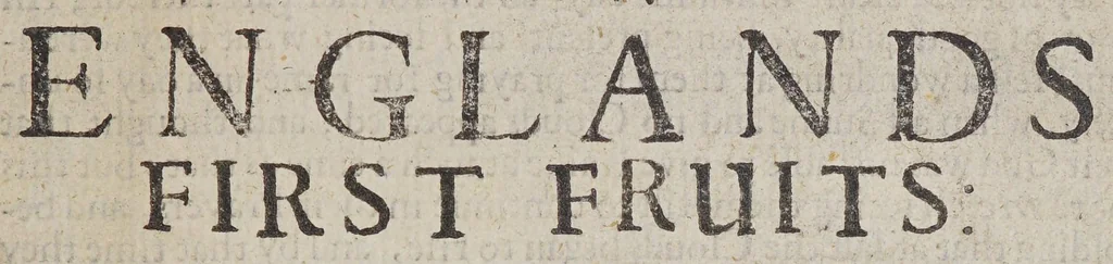 An illustration from New Englands first fruits : in respect, first of the conversion of some, conviction of divers, preparation of sundry of the Indians. 2. Of the progresse of learning, in the colledge at Cambridge in Massacusets [sic] Bay. With divers other speciall matters concerning that countrey. Published by the instant request of sundry friends, who desire to be satisfied in these points by many New-England men who are here present, and were eye or eare-witnesses of the same, 1643, leaf 9