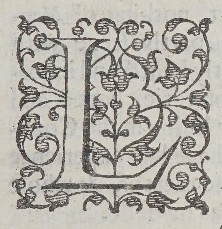 An illustration from New-Englands plantation. Or A short and true description of the commodities and discommodities of that countrey., 1630, leaf 9