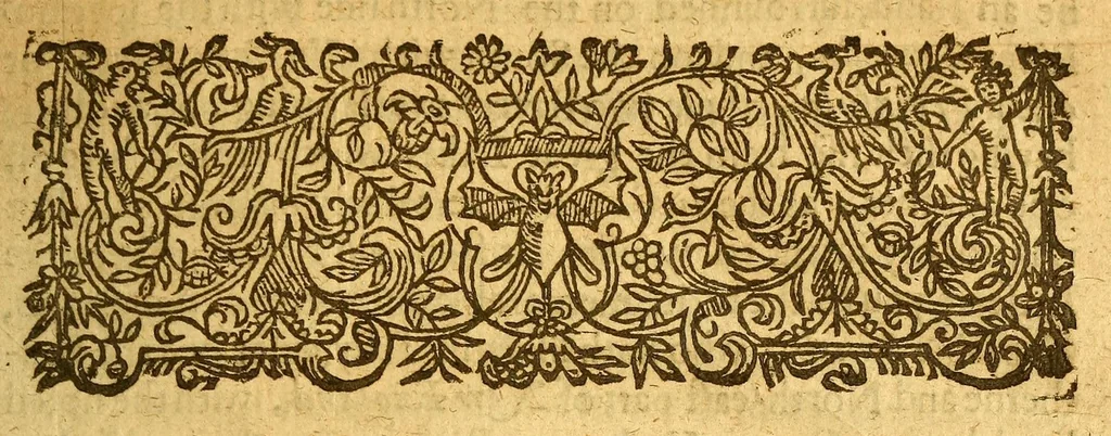 An illustration from New Englands prospect. : A true, lively, and experimentall description of that part of America, commonly called New England: discovering the state of that countrie, both as it stands to our new-come English planters; and to the old native inhabitants. Laying downe that which may both enrich the knowledge of the mind-travelling reader, or benefit the future voyager., 1634, leaf 17