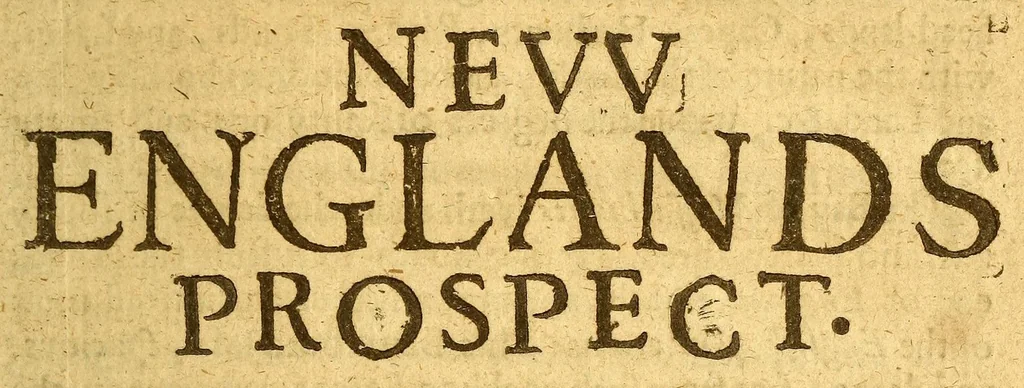 An illustration from New Englands prospect. : A true, lively, and experimentall description of that part of America, commonly called New England: discovering the state of that countrie, both as it stands to our new-come English planters; and to the old native inhabitants. Laying downe that which may both enrich the knowledge of the mind-travelling reader, or benefit the future voyager., 1634, leaf 17